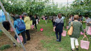 入谷地区町会連合会レクリエーション