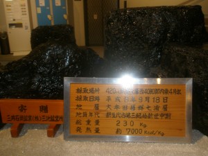 区民文教委員会視察H25年度 008